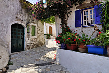 obraz modré okenice